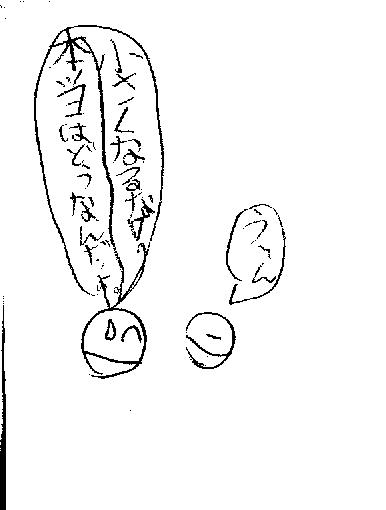 bi301.jpg (17682 oCg)